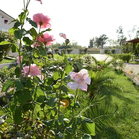 شقة فندقية Ktima Xiliadou 4*